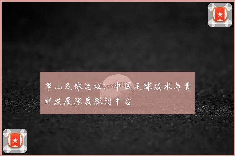 华山足球论坛：中国足球战术与青训发展深度探讨平台
