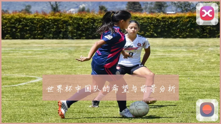 世界杯中国队的希望与前景分析