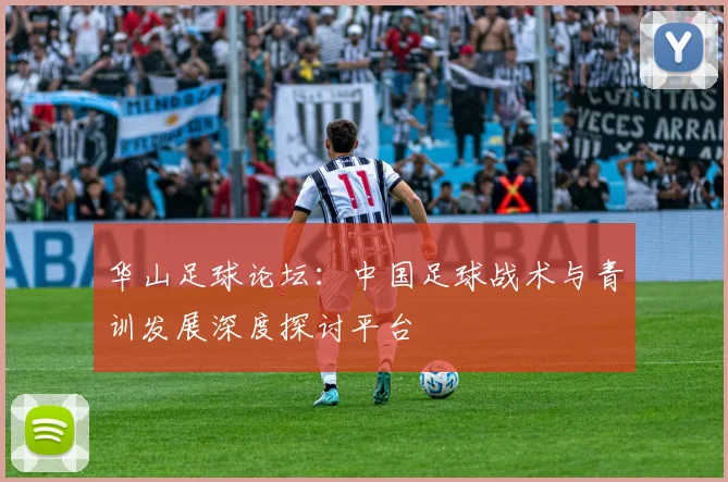 华山足球论坛：中国足球战术与青训发展深度探讨平台